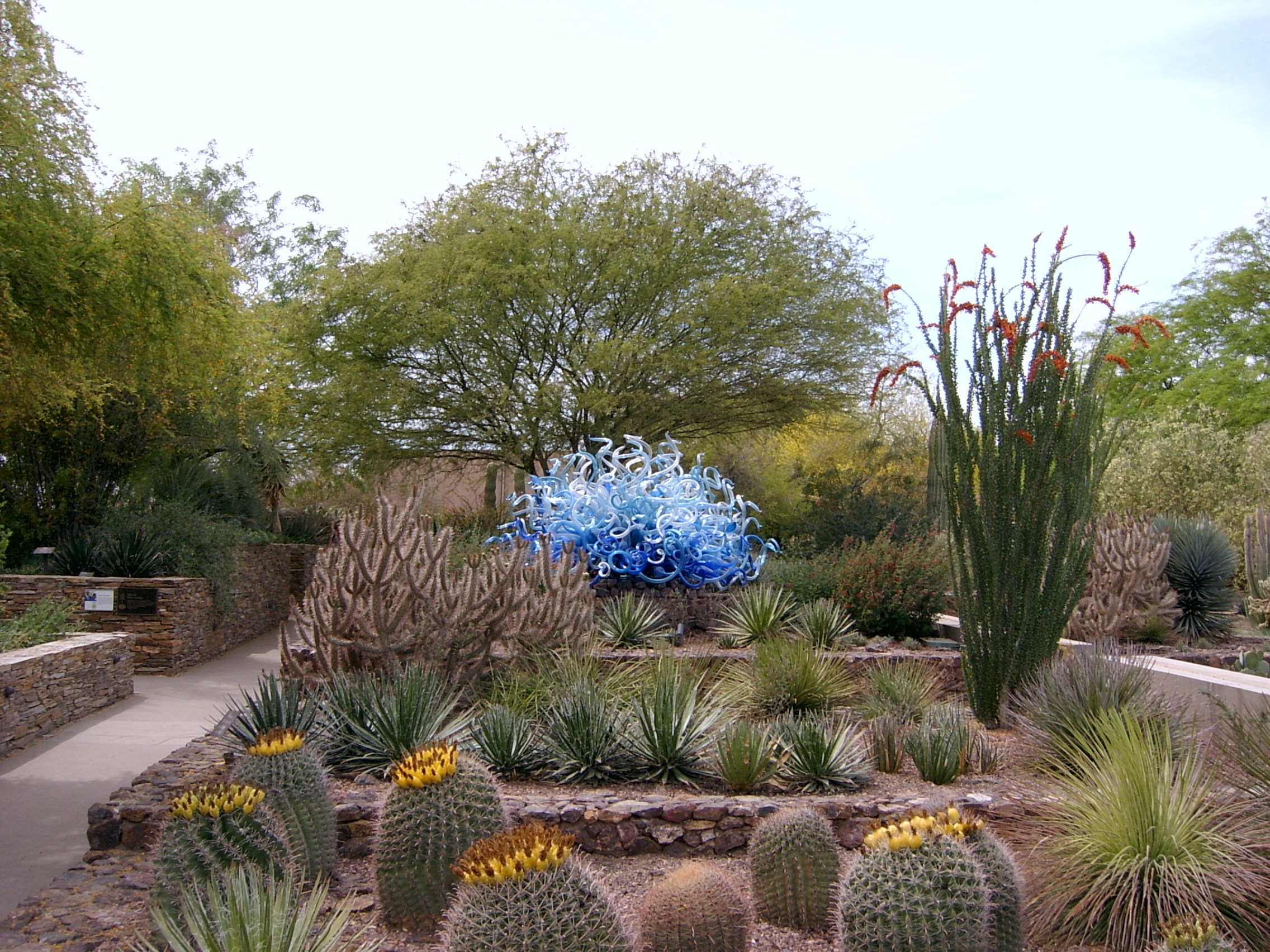 Chihuly Glass