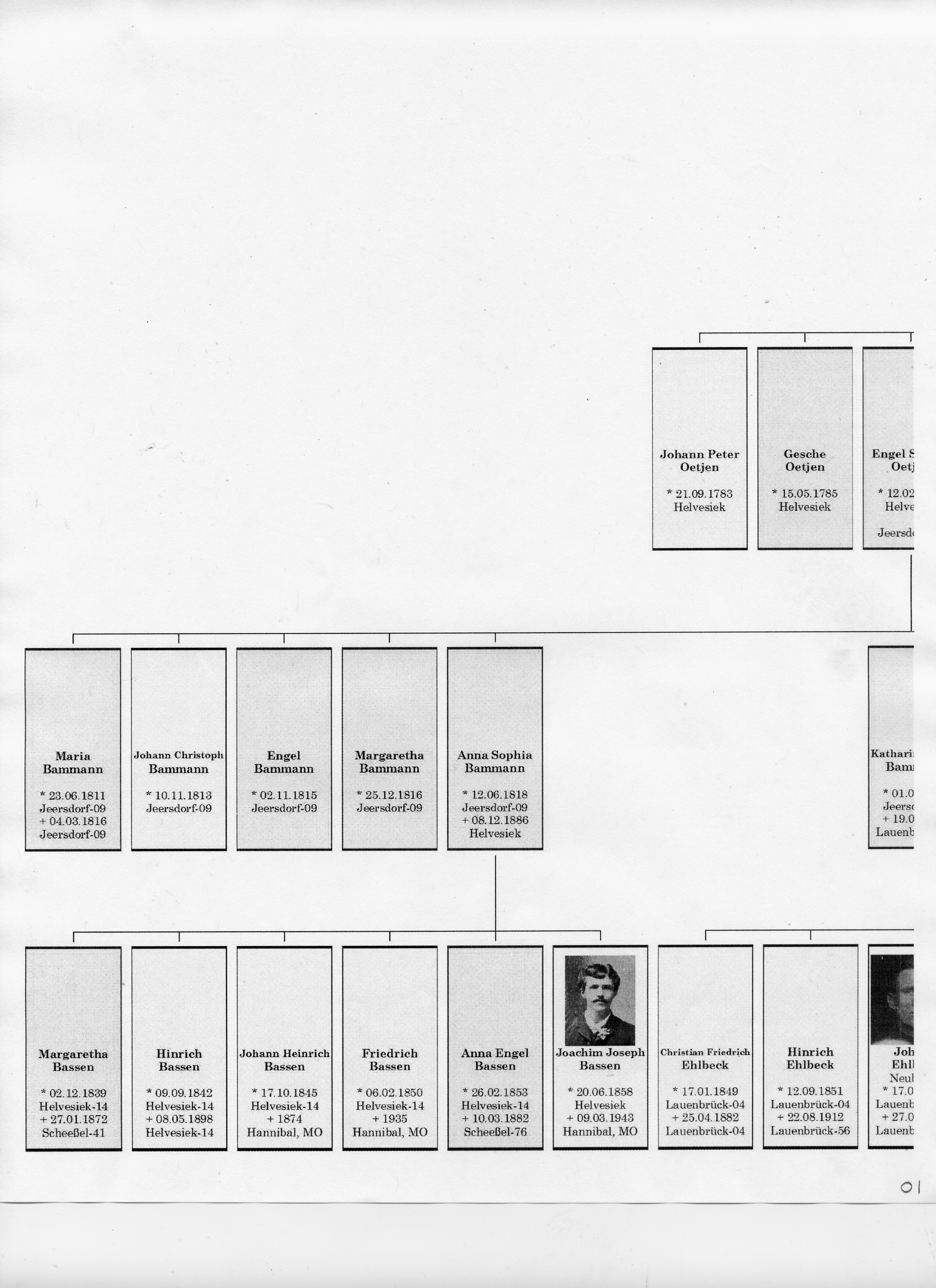 Peter Wilhelm Oetjen Tree 01