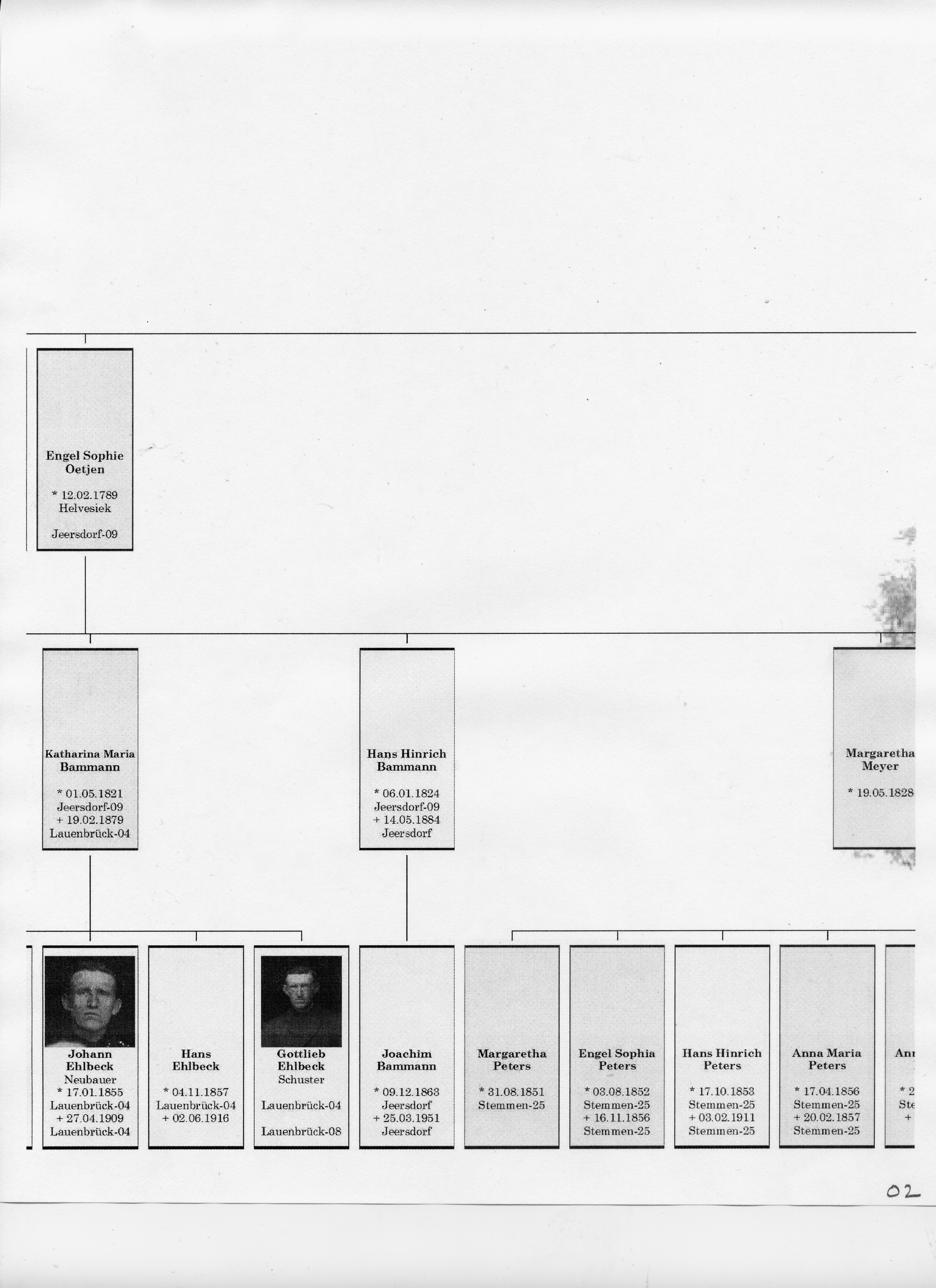 Peter Wilhelm Oetjen Tree 02