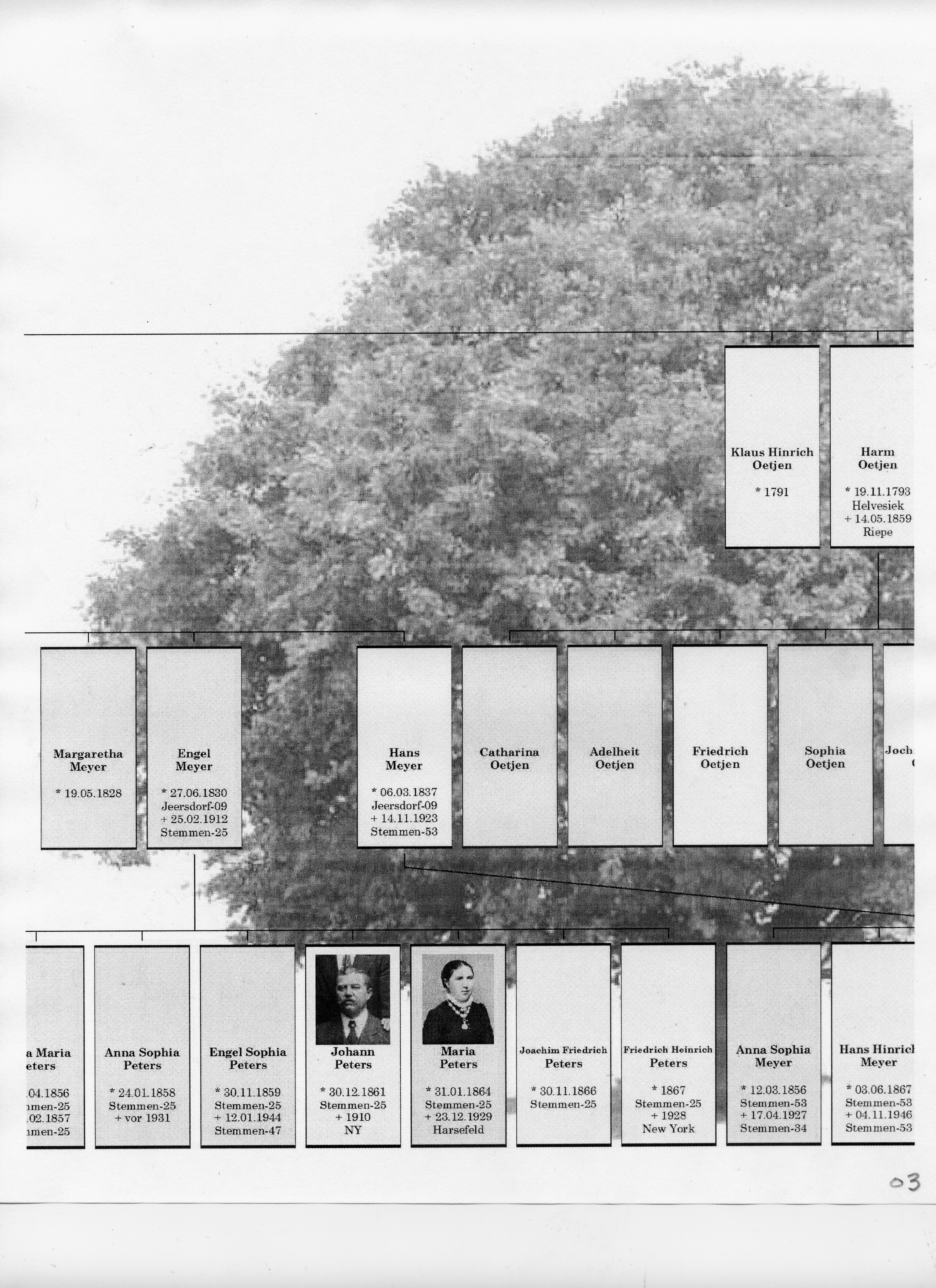 Peter Wilhelm Oetjen Tree 03