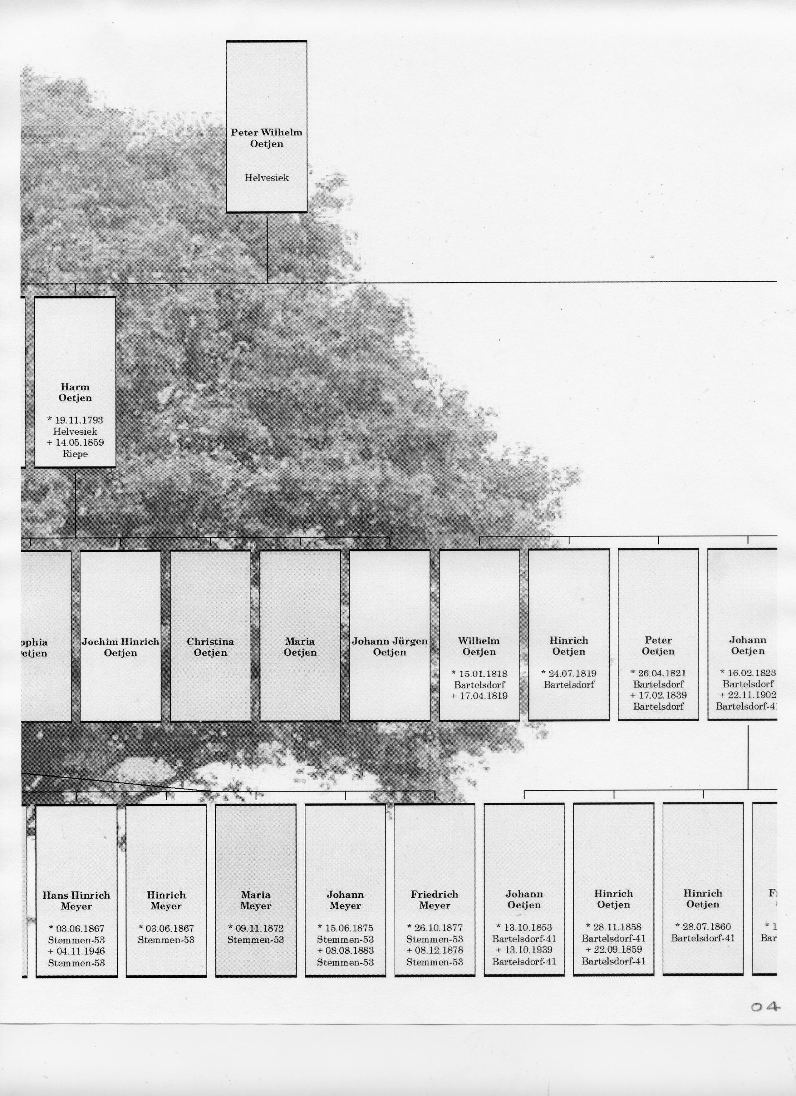 Peter Wilhelm Oetjen Tree 04