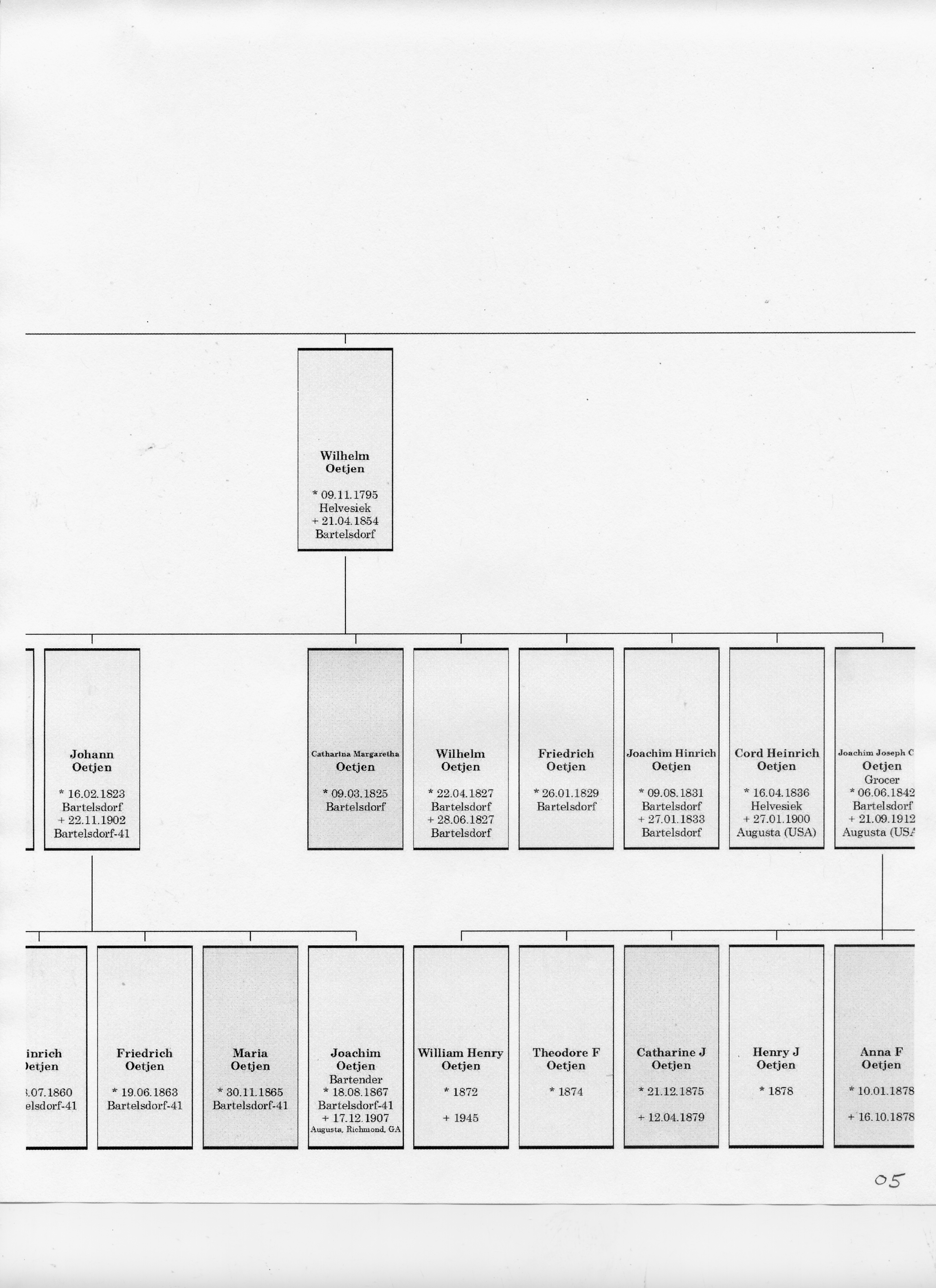 Peter Wilhelm Oetjen Tree 05